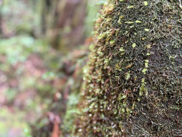 秋山知宏特任准教授による共著出版物(2件)公開のご案内